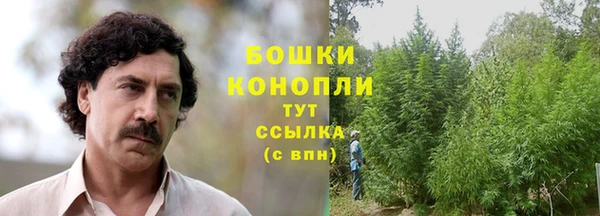 молекула духа Белокуриха