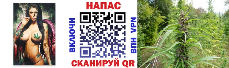 mega как зайти  сколько стоит  Семикаракорск  Конопля VHQ 